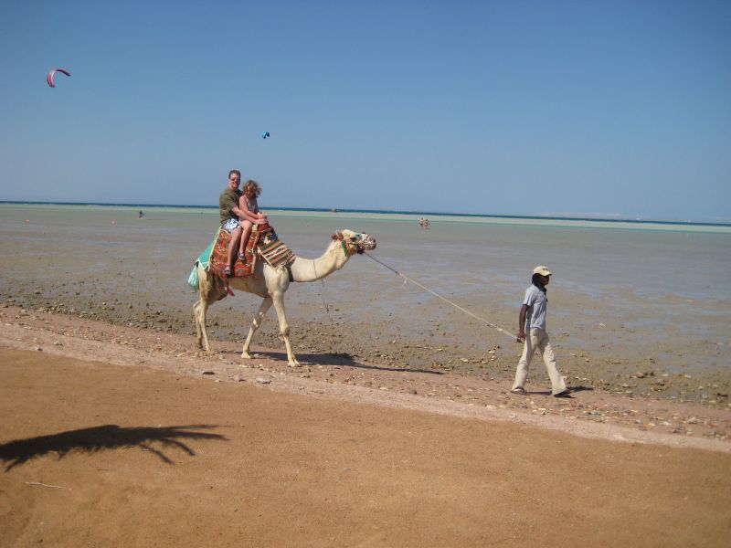 elgouna23.jpg